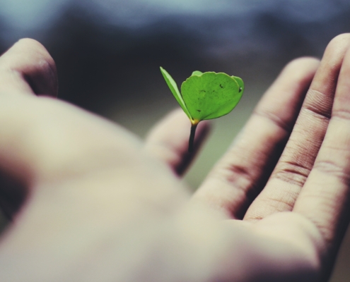 Empresa más ecológica